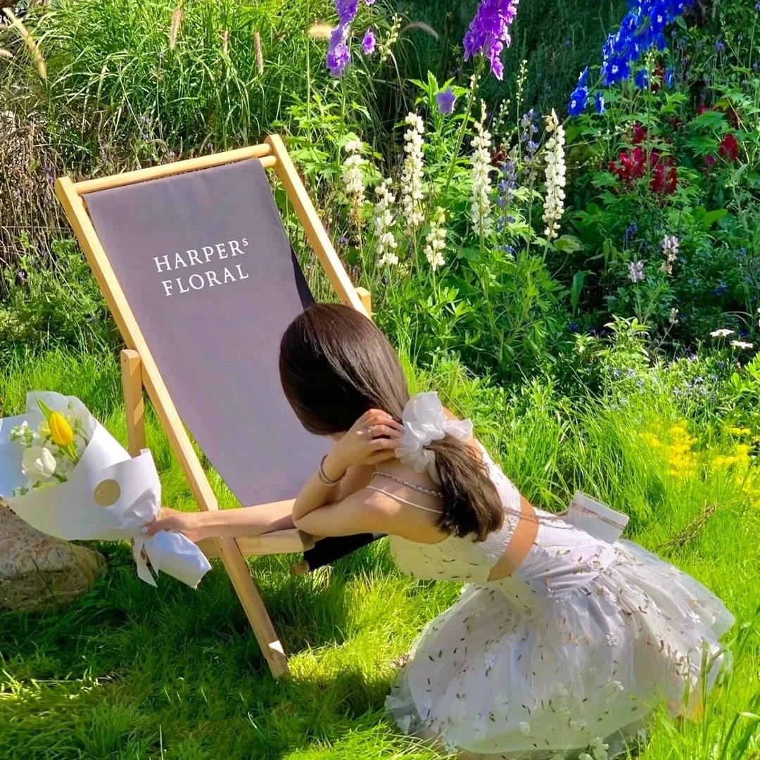 无敌从被挖根骨开始