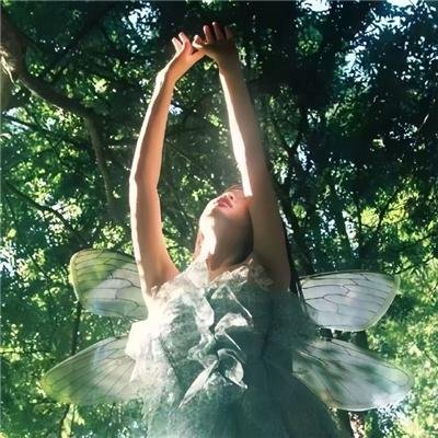 野生动物宝宝 第一季